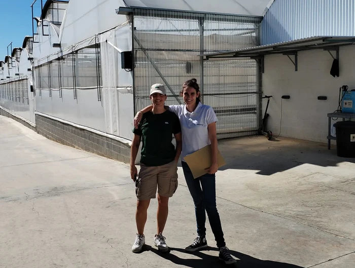 Caso de éxito: Semillas Fitó